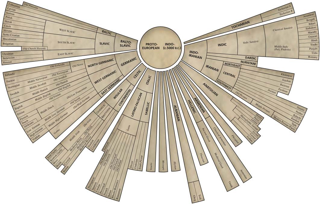 The Indo European Languages And The Relevance Of Sanskrit 