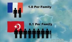 muslim demographics