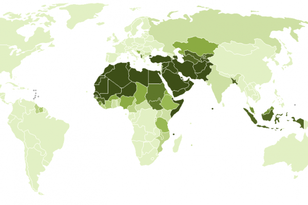 Muslim Demographics