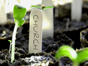 Church Planting