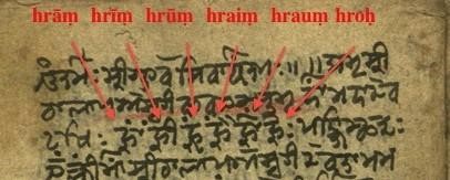 Seed Mantras prescribed for the Namaskāra Practice, Bālārahasya Manuscript (excerpt)