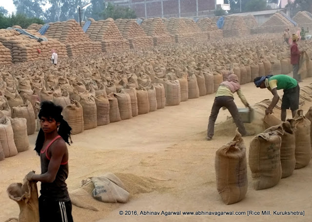Rice being stored back into gunny bags at the end of the day, Kurukshetra.