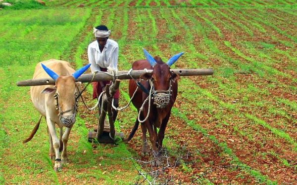 Hinduism Agriculture