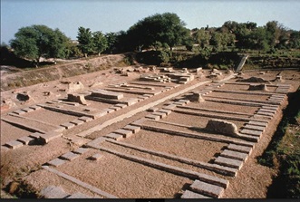 Harappan Site A Miniature Depiction in Seals 02