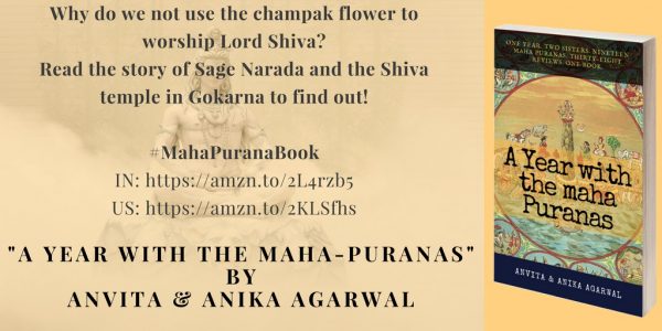 A Year with the Maha-Puranas