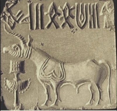 Significance of the single horned bull in Indus seals | IndiaFactsIndiaFacts