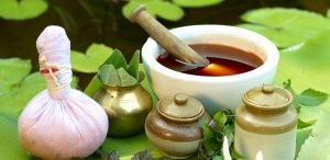 Medicinal Plants India Ayurveda