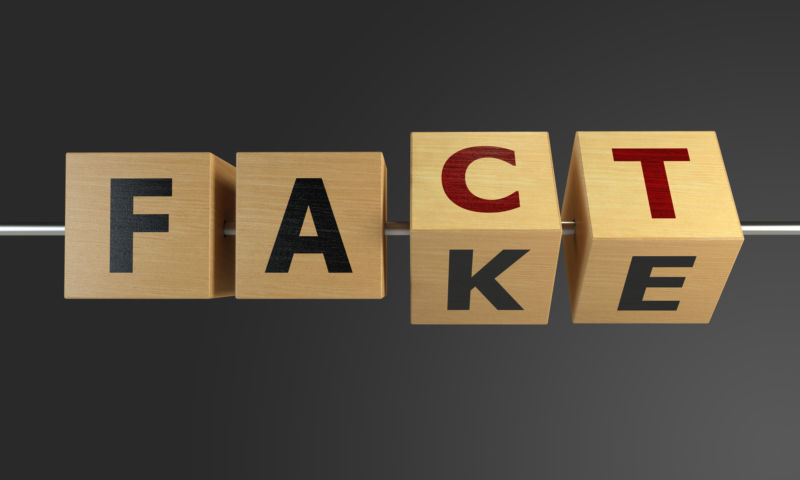 Fact or Fake Concept With Wooden Cubes