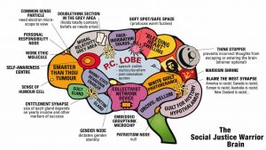 The Origins of Cultural Marxism Saumya Dey